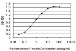 GGA1 Antibody (3F11), Novus Biologicals 0.1 mg | Buy Online | Novus Biologicals | Fisher Scientific