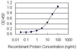 GIPC2 Antibody (4H8), Novus Biologicals 0.1 mg | Buy Online | Novus Biologicals | Fisher Scientific