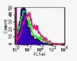 GITR/TNFRSF18 Antibody (DTA-1) - Azide and BSA Free, Novus Biologicals
