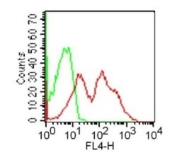 GITR/TNFRSF18 Antibody (DTA-1) - Azide and BSA Free, Novus Biologicals
