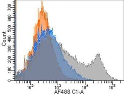 GITR/TNFRSF18, Rabbit anti-Mouse, Clone: YGITR765, Novus Biologicals:Antibodies:Primary