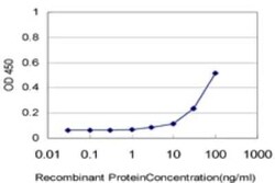 GLP-2R Antibody (1F2), Novus Biologicals 0.1 mg | Buy Online | Novus Biologicals | Fisher Scientific
