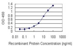 GLXR5 Antibody (4G8), Novus Biologicals 0.1 mg | Buy Online | Novus Biologicals | Fisher Scientific