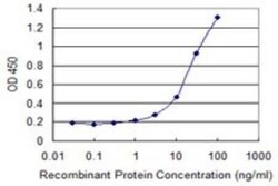 GNG5 Antibody (3B8), Novus Biologicals 0.1 mg | Buy Online | Novus Biologicals | Fisher Scientific