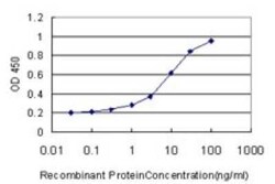 GOLGA5 Antibody (6B3), Novus Biologicals 0.1 mg | Buy Online | Novus Biologicals | Fisher Scientific