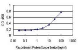 GOLGA7 Antibody (2H8), Novus Biologicals 0.1 mg | Buy Online | Novus Biologicals | Fisher Scientific