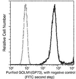GOLM1 Rabbit anti-Human, Clone: 15, Novus Biologicals 100 &mu;g; Unconjugated:Antibodies,
