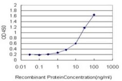 GPD2 Antibody (2C11-1F4), Novus Biologicals 0.1 mg | Buy Online | Novus Biologicals | Fisher Scientific