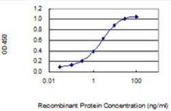 GPIHBP1 Antibody (1F9), Novus Biologicals 0.1 mg; Unconjugated:Antibodies,