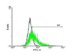 GPR50 Antibody, Novus Biologicals 0.05 mg | Buy Online | Novus Biologicals | Fisher Scientific