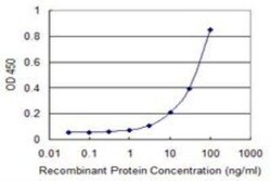 GPR84 Antibody (5C3), Novus Biologicals 0.1 mg; Unconjugated:Antibodies,
