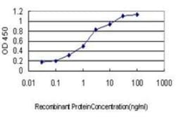GRAP2 Antibody (1G12), Novus Biologicals 0.1 mg | Buy Online | Novus Biologicals | Fisher Scientific