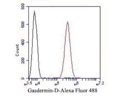 GSDMDC1 Antibody, Novus Biologicals 100 uL; Unconjugated:Antibodies, Polyclonal