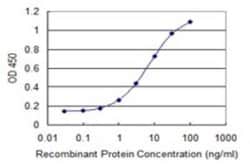 GSKIP Antibody (2F2), Novus Biologicals 0.1 mg | Buy Online | Novus Biologicals | Fisher Scientific