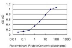 GSTA1 Antibody (2F7), Novus Biologicals 0.1 mg | Buy Online | Novus Biologicals | Fisher Scientific