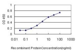 GSTA3 Antibody (1F11), Novus Biologicals 0.1 mg, Unconjugated:Antibodies,