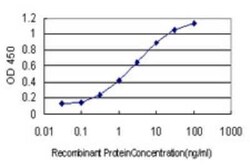GSTO1 Antibody (3D9), Novus Biologicals 0.1 mg | Buy Online | Novus Biologicals | Fisher Scientific