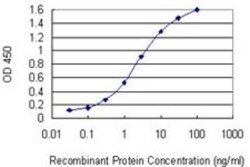 Novus Biologicals GSTT2 Antibody (1C12), Novus Biologicals 0.1 mg | Buy Online | Novus Biologicals&trade; | Fisher Scientific