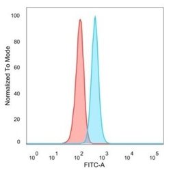 GTF2H2C Antibody (PCRP-GTF2H2C-2C9) - Azide and BSA Free, Novus Biologicals