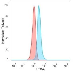 GTF2IRD2 Mouse anti-Human, Clone: PCRP-GTF2IRD2-1B12, Novus Biologicals:Antibodies:Primary
