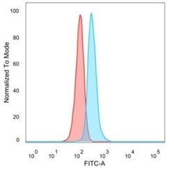GTF2IRD2 Antibody (PCRP-GTF2IRD2-1B4) - Azide and BSA Free, Novus Biologicals