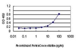 GUCY2D Antibody (1E6), Novus Biologicals 0.1 mg | Buy Online | Novus Biologicals | Fisher Scientific
