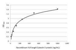 Galectin-3 Antibody (GT12712), Novus Biologicals 100 &mu;g | Buy Online | Novus Biologicals | Fisher Scientific