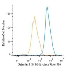 Galectin-3 Antibody (M3/38) - BSA Free, Novus Biologicals 0.05 mg; Unconjugated:Antibodies,