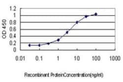 Galectin-8 Antibody (3E5), Novus Biologicals 0.1 mg, Unconjugated:Anticuerpos