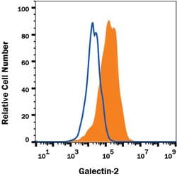 Human Galectin-2 Antibody, R D Systems 100 &mu;g; Unconjugated:Antibodies,