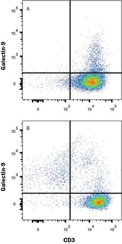 Human Galectin-9 Antibody, R D Systems:Antibodies:Primary Antibodies