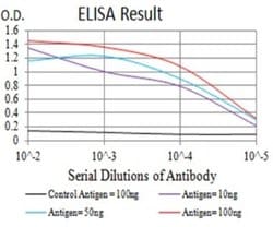 GluR7/GRIK3 Antibody (2B4H1) - BSA Free, Novus Biologicals 0.1 ml; Unconjugated:Antibodies,