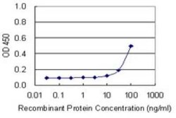 Glypican 5 Antibody (1C9), Novus Biologicals 0.1 mg | Buy Online | Novus Biologicals | Fisher Scientific