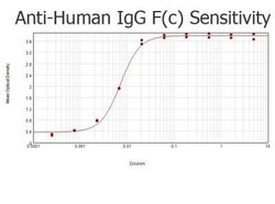 Goat anti-Human IgG Fc Secondary Antibody (Pre-adsorbed), Novus Biologicals