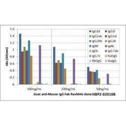 IgG F(ab) Antibody (RMG05), Biotin, Novus Biologicals&trade;