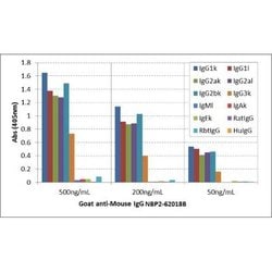 IgG Antibody (RMG07), Biotin, Novus Biologicals™