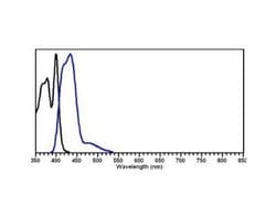 Goat anti-Rabbit IgG Fc Secondary Antibody, Novus Biologicals 2mg:Antibodies,