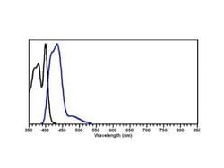 Goat anti-Rat IgM Heavy Chain Secondary Antibody, Novus Biologicals 1mg:Antibodies,