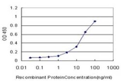 Guanylyl Cyclase alpha 1 Antibody (2H1), Novus Biologicals 0.1 mg; Unconjugated:Antibodies,