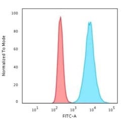 H1F0 Antibody (SPM256), Novus Biologicals:Antibodies:Primary Antibodies
