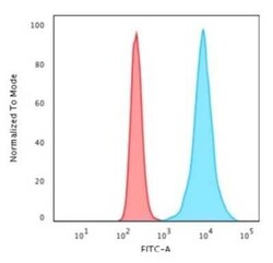 H1F0 Antibody (r1415-1), Novus Biologicals:Antibodies:Primary Antibodies