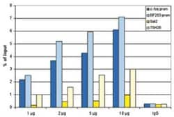Histone H2A.Z Antibody, Novus Biologicals 50 &mu;g; Unconjugated:Antibodies,
