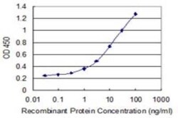 H4/h Antibody (6D4), Novus Biologicals 0.1 mg | Buy Online | Novus Biologicals | Fisher Scientific