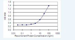 HAGHL Antibody (5B12), Novus Biologicals 100 &mu;g | Buy Online | Novus Biologicals | Fisher Scientific