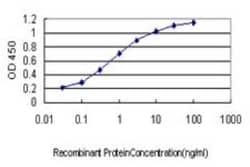 HARS Antibody (1C8), Novus Biologicals 0.1 mg | Buy Online | Novus Biologicals | Fisher Scientific