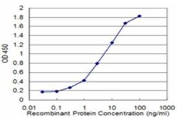 HARS Antibody (4D4), Novus Biologicals 0.05 mg | Buy Online | Novus Biologicals | Fisher Scientific