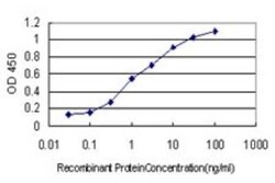 HGS Antibody (6D11), Novus Biologicals 0.1 mg | Buy Online | Novus Biologicals | Fisher Scientific