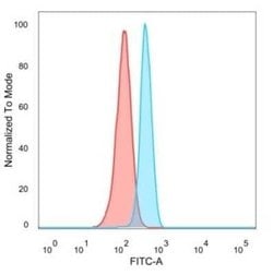 HIC2 Mouse anti-Human, Clone: PCRP-HIC2-1B1, Novus Biologicals:Antibodies:Primary
