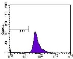 HIF-2 alpha/EPAS1 Antibody (ep190b) - Azide and BSA Free, Novus Biologicals