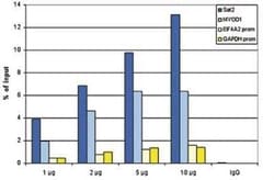 HIST1H2AD Antibody, Novus Biologicals 25 &mu;g; Unconjugated:Antibodies,